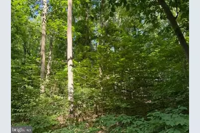 0 Lot 413 Easy Hollow Road #LOT 413, Front Royal, VA 22630 - Photo 2