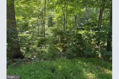 Lot 16 High Knob Court, Front Royal, VA 22630 - Photo 4