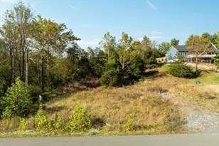 0 Holiday Ct, Bentonville, VA 22610 - Photo 4