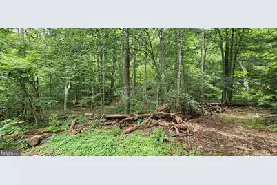 Lot 202 & 203 Bobbie Court, Front Royal, VA 22630 - Photo 2