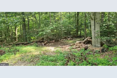 Lot 202 & 203 Bobbie Court, Front Royal, VA 22630 - Photo 4