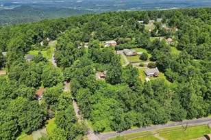 32 Parnassus Rd, Linden, VA 22642 - Photo 56