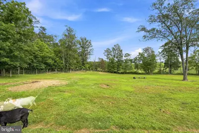 794 Steed Lane, Front Royal, VA 22630 - Photo 54