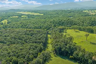 359 Ridgeway Rd, Front Royal, VA 22630 - Photo 108