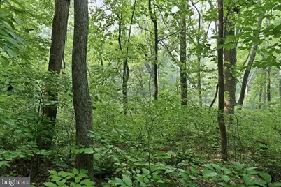 Gooney Manor Loop, Bentonville, VA 22610 - Photo 2