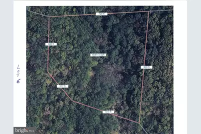 Gooney Manor Loop, Bentonville, VA 22610 - Photo 10