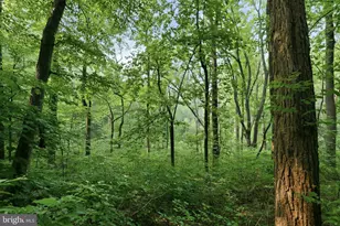 Gooney Manor Loop, Bentonville, VA 22610 - Photo 1
