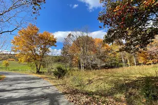 63 Buck Mountain Rd, Bentonville, VA 22610 - Photo 48
