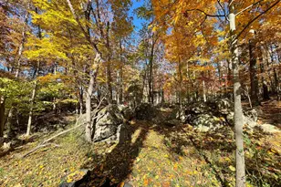 63 Buck Mountain Rd, Bentonville, VA 22610 - Photo 74