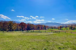 63 Buck Mountain Rd, Bentonville, VA 22610 - Photo 54