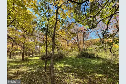 63 Buck Mountain Road, Bentonville, VA 22610 - Photo 78