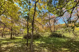63 Buck Mountain Rd, Bentonville, VA 22610 - Photo 78