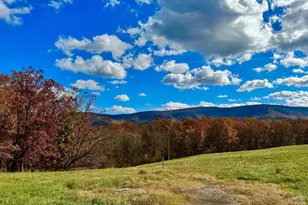 63 Buck Mountain Rd, Bentonville, VA 22610 - Photo 42