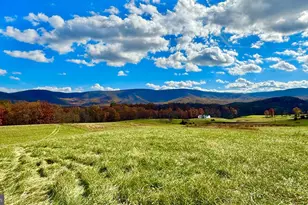 63 Buck Mountain Rd, Bentonville, VA 22610 - Photo 44