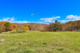 63 Buck Mountain Rd, Bentonville, VA 22610 - Photo 52