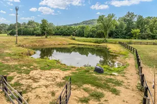 5616 Strasburg Rd, Strasburg, VA 22657 - Photo 22