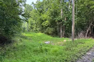 Smith Run Road Smith Run Rd, Bentonville, VA 22610 - Photo 1