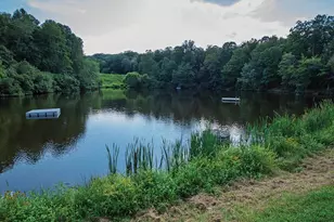 22 Wealthy Rd, Linden, VA 22642 - Photo 68