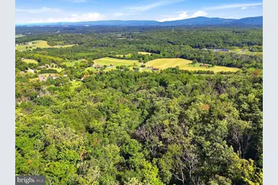 Valley Park Court, Strasburg, VA 22657 - Photo 10