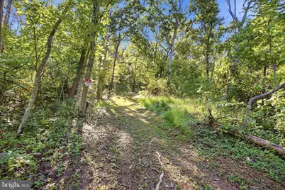Valley Park Court, Strasburg, VA 22657 - Photo 18