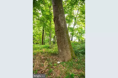 Lot E Strasburg Road, Front Royal, VA 22630 - Photo 18