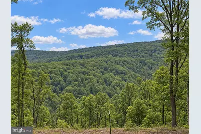 113 Lee Drive, Linden, VA 22642 - Photo 4
