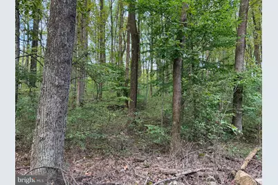Smith Run, Bentonville, VA 22610 - Photo 4