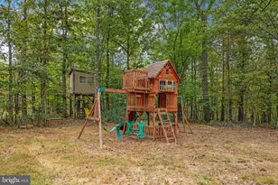 3823 Panhandle Rd, Front Royal, VA 22630 - Photo 58