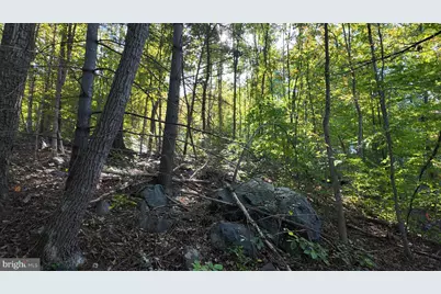 Drummer Hill Road, Front Royal, VA 22630 - Photo 14