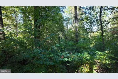 High Top Road, Linden, VA 22642 - Photo 4