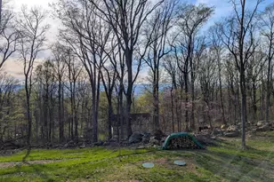 1099 High Top Rd, Linden, VA 22642 - Photo 4