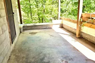 219 Fox Squirrel Ln, Cabins, WV 26855 - Photo 16