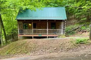 219 Fox Squirrel Ln, Cabins, WV 26855 - Photo 2