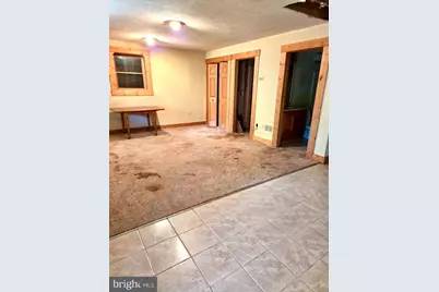 219 Fox Squirrel Lane, Cabins, WV 26855 - Photo 20