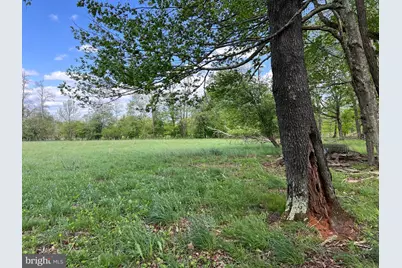 Cherry Ridge Road, Mount Storm, WV 26739 - Photo 10