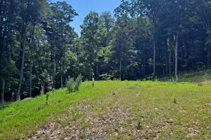 1079 Little Mountain, Cabins, WV 26855 - Photo 48