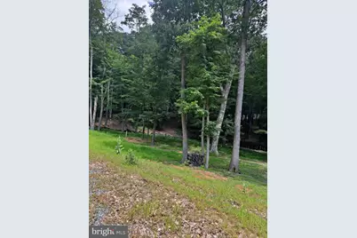 1079 Little Mountain, Cabins, WV 26855 - Photo 50