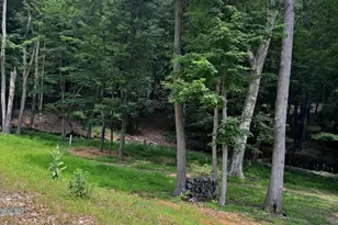 1079 Little Mountain, Cabins, WV 26855 - Photo 50