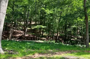 1079 Little Mountain, Cabins, WV 26855 - Photo 42