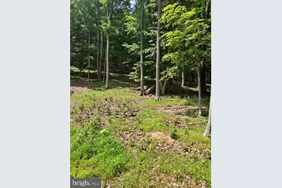 1079 Little Mountain, Cabins, WV 26855 - Photo 40