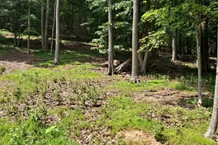 1079 Little Mountain, Cabins, WV 26855 - Photo 40