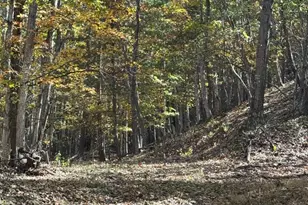 961 Almost Heaven Dr, Petersburg, WV 26847 - Photo 30
