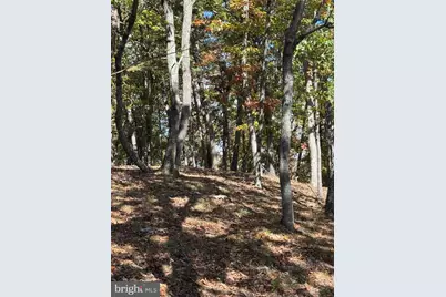 961 Almost Heaven Drive, Petersburg, WV 26847 - Photo 42