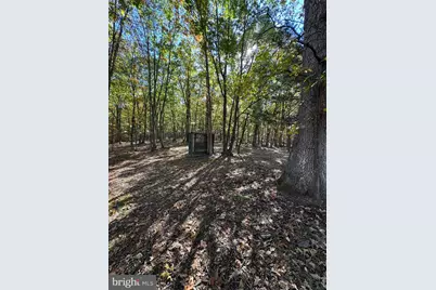 961 Almost Heaven Drive, Petersburg, WV 26847 - Photo 44