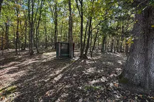 961 Almost Heaven Dr, Petersburg, WV 26847 - Photo 44