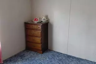 131 Little Hickory Rd, Petersburg, WV 26847 - Photo 20