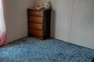 131 Little Hickory Rd, Petersburg, WV 26847 - Photo 22