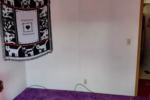 131 Little Hickory Rd, Petersburg, WV 26847 - Photo 26