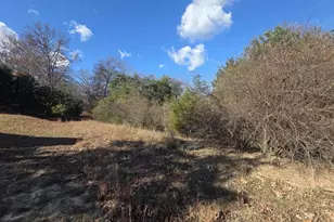 Lot 13 Yeager Ct, Petersburg, WV 26847 - Photo 1