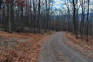 523 Gloryridge Dr, Petersburg, WV 26847 - Photo 16